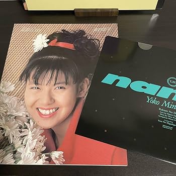 南野陽子さんLPレコード10枚セット＋楽園のDoor限定特別シングル 南野陽子 楽園のdoor 10SH1864 | レコード買取